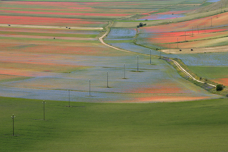 Motorcycle Tour of Italy colorful fields