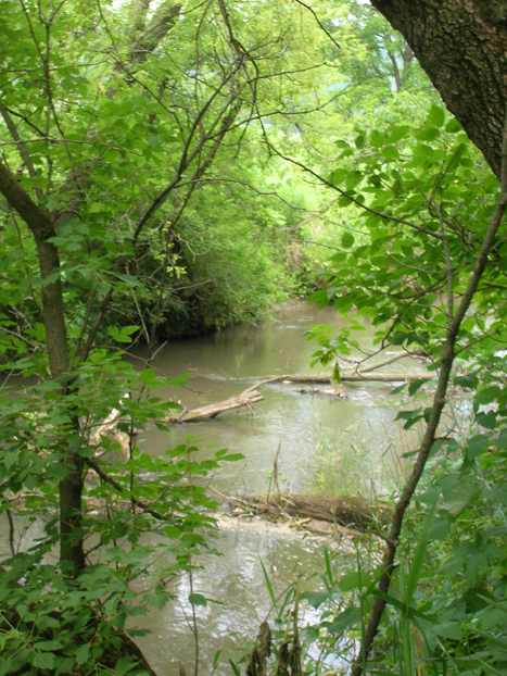 Motorcycle Tour river in wisconsin