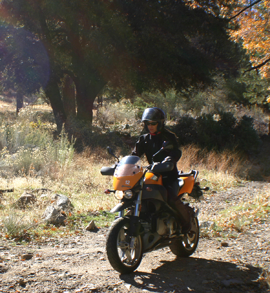 Buell discount ulysses offroad