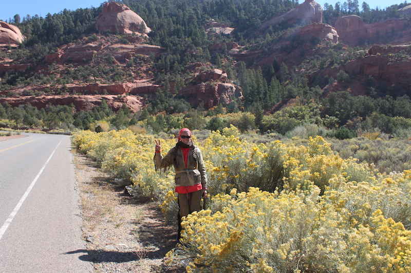 Backroads With Betsy Riding the Rez Part  1 wildflowers