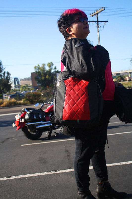 review the lauren bag by motochic tote