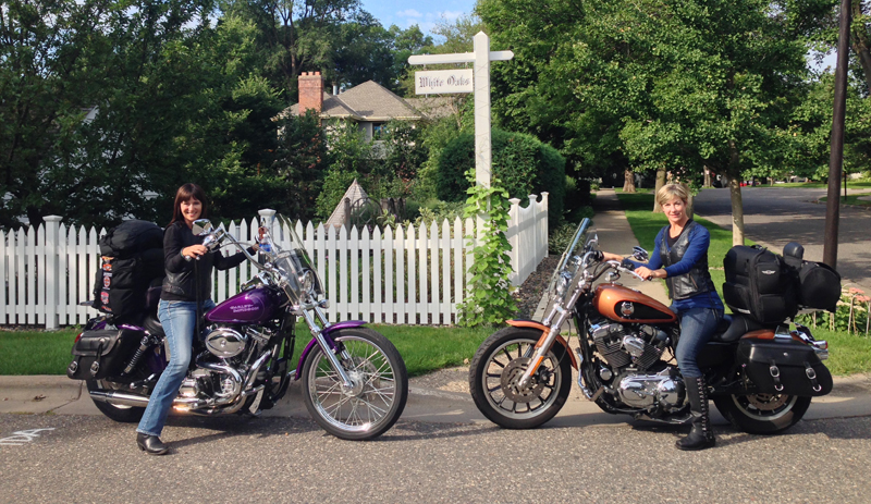 a bear a deer and fog make one harrowing journey harley davidson dyna low rider