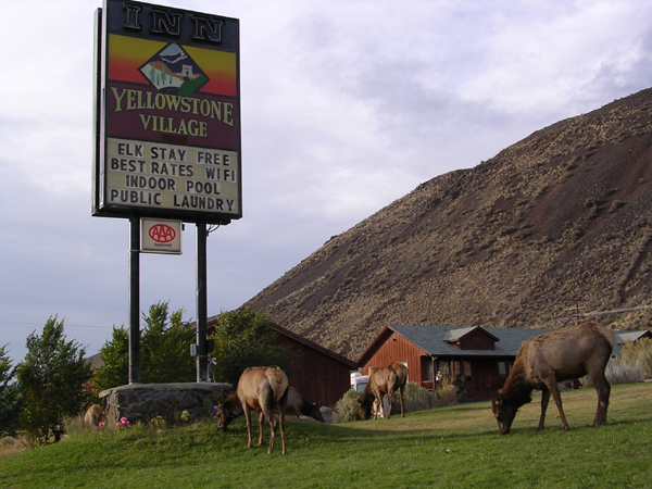 mountains every way you look yellowstone elk