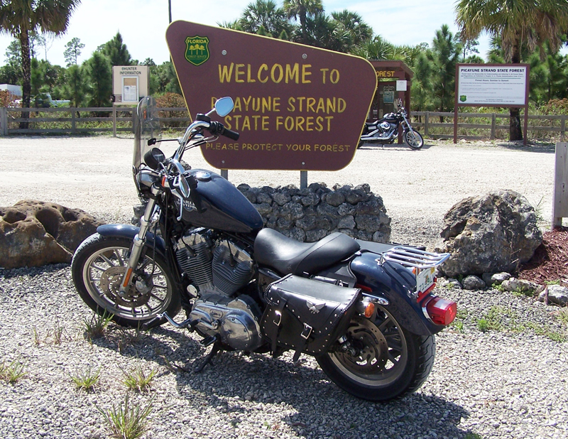 making the dream of riding a reality in 40s v star 250