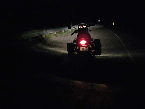 Night riding tail light