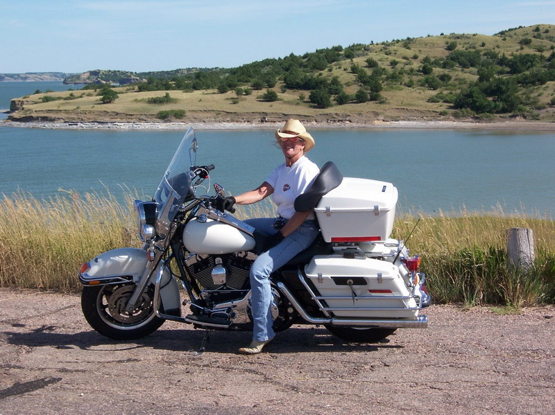 Road king store police seat