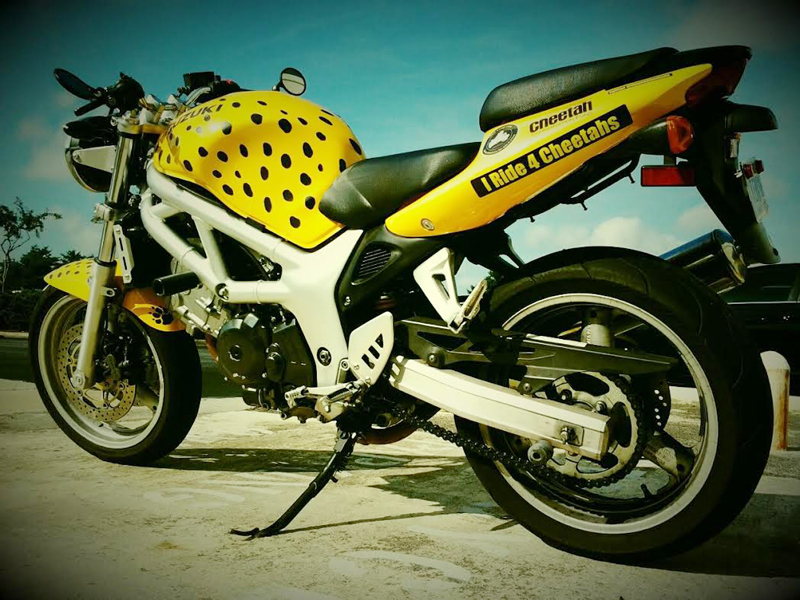 lifes short get motorcycle now cheetah painted bike