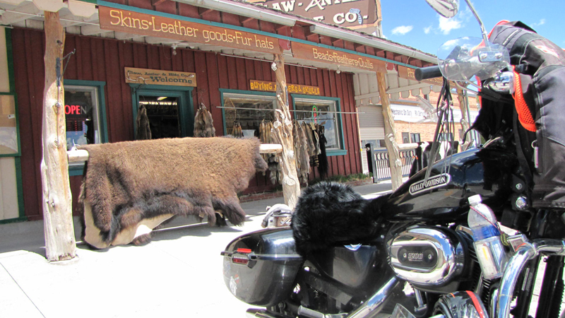 Solo Road Trip on a Motorcycle Alone But Never Lonely Sportster Sheepskin Seat Cover