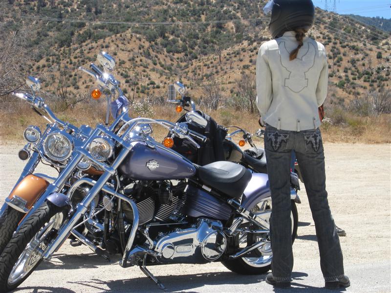 Harley Davidson Leather Chaps — Katee Sackhoff Official Website