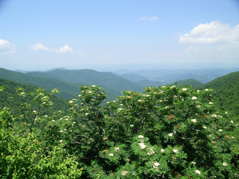 4 bucket list motorcycle rides in the east blue ridge parkway mountains