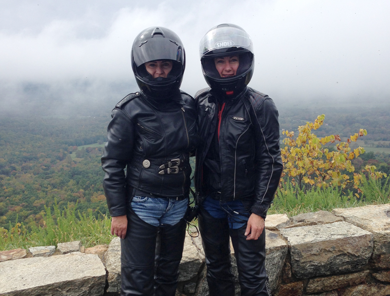 a bear a deer and fog make one harrowing journey blue ridge parkway