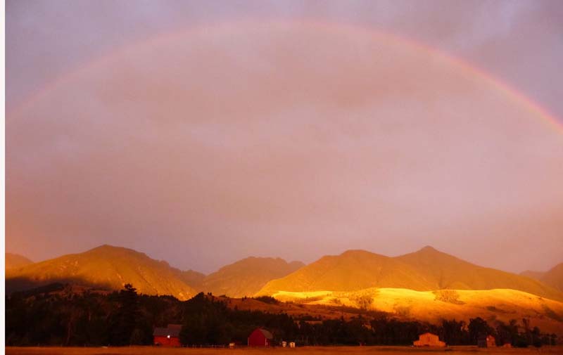 Everday Miracles Learning to Let Go Rainbow