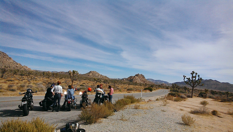 babes ride out all women motorcycling event makes history joshua tree park