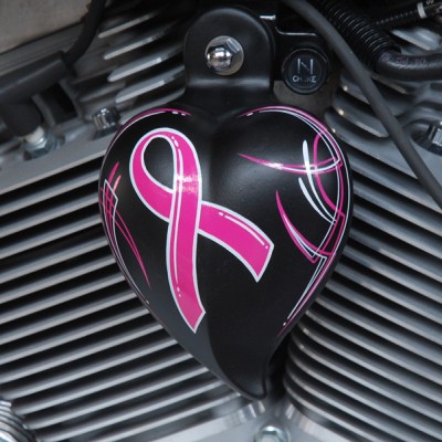 Pink Ribbon Motorcycle Flag