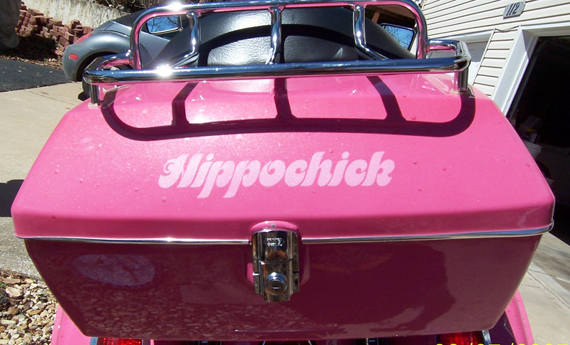 your motorcycles: hippochicks pink honda vtx 1300s trunk