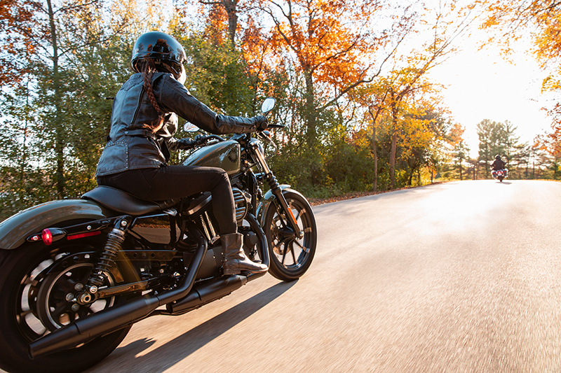 Harley-Davidson Sportster Iron 883