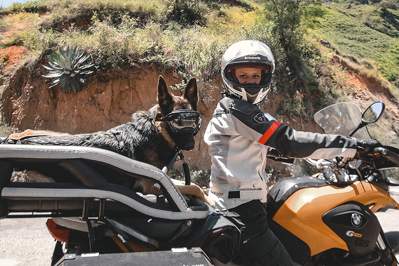 After months of testing, designing, and prototyping, we produced the K9 Moto Cockpit motorcycle dog carrier for medium and large dogs. The Cockpit is a tubular steel-framed carrier that, like roll bars on an ATV or Jeep, combines cushioned rigid protection with an authentic open-air experience.