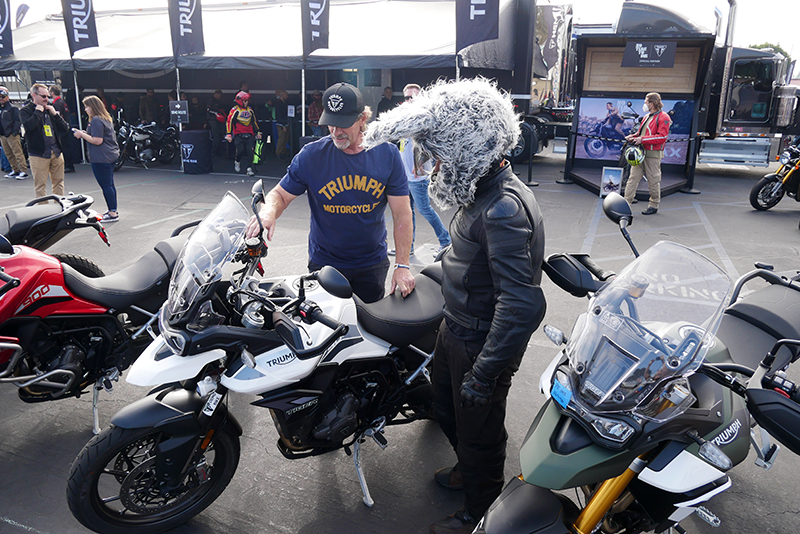 We aren't sure what kind of animal is about to get on the Triumph Tiger here...