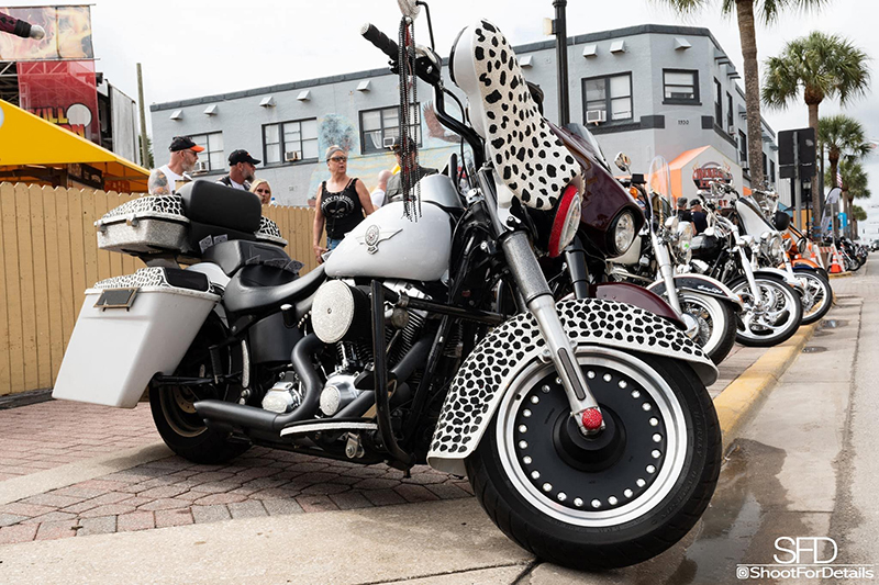 Last year’s Jim Lynch Bike Show Mafia Ladies Ride-In winner, Wendy LaForce's bike, “Cruella.”