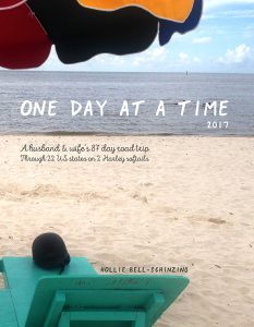One Day at a Time Book by Hollie Bell-Schinzing