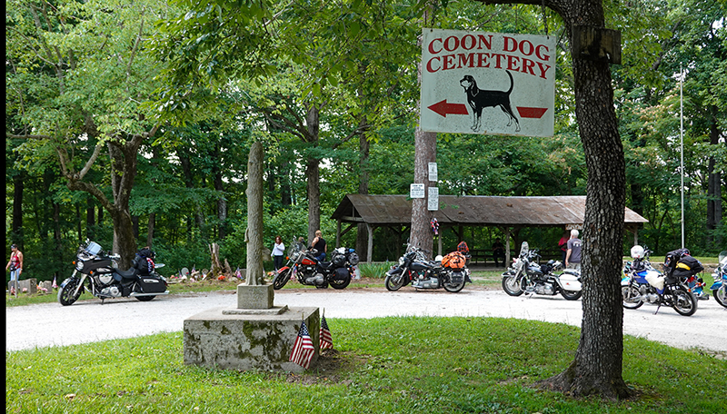 coon dog cemetary