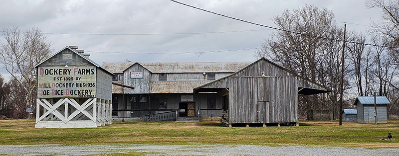 dockery plantation