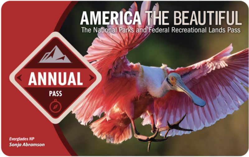 National Park America the Beautiful park pass