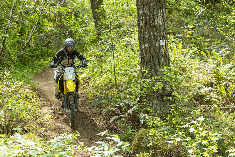 07 suz single track 2 Suzuki single track riding